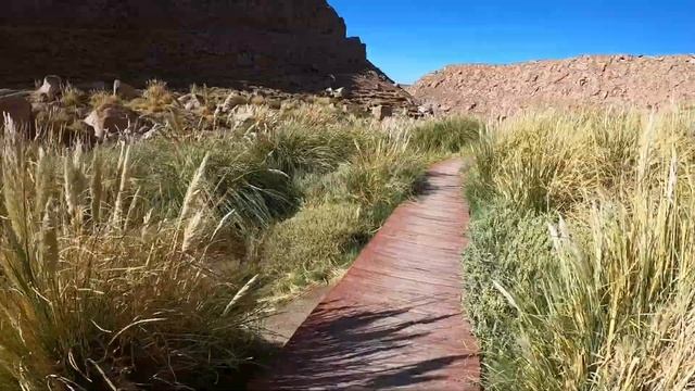 San Pedro de Atacama travel смотреть онлайн