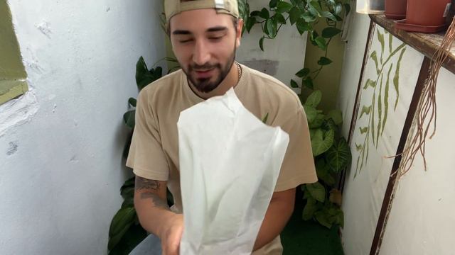 Подарок. Новое комнатное растение 🌱 смотреть онлайн