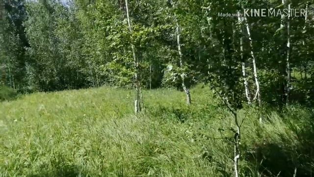 Бабушкин быстрый суп. ?Подарок от мужа?. День деревенский. смотреть онлайн