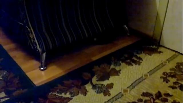 Робот-пылесос Panda X500 Pet Series на уборке смотреть онлайн