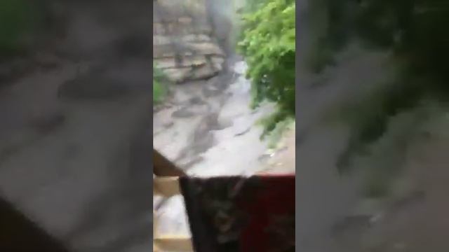 В горах Дагестана корова спасается бегством от селевого потока смотреть онлайн