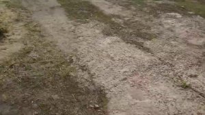 Распределительный вал ямз 238