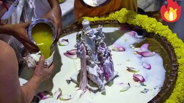 Special Narsimha Aarti | ISKCON Aarti | #narsimha #narasimha #puja #aarti ISKCON BHAGALPUR