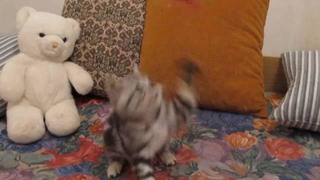 Варежка смотреть онлайн