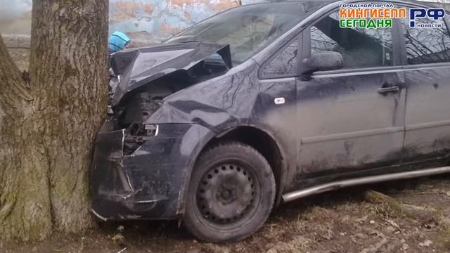 В Ивангороде у детской площадки минивен врезался в дерево смотреть онлайн