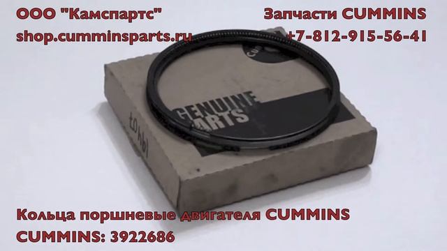 Кольца поршневые для Dong Feng Евро2 300 л.с. CUMMINS CT 3922686 смотреть онлайн