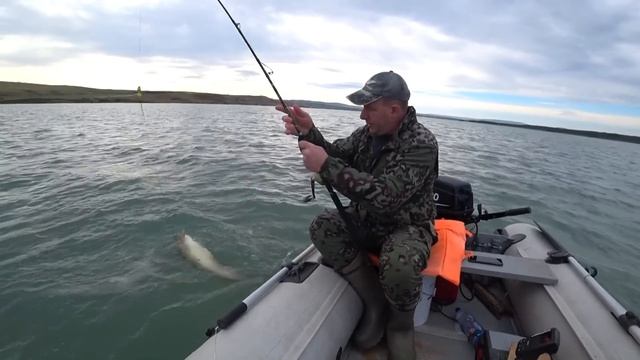 Сом на квок Новое удилище косит сомов смотреть онлайн