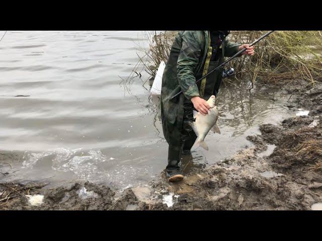 Весенняя рыбалка на ОКЕ, весенние трофей/Рыбалка в проводку и на фидер. смотреть онлайн