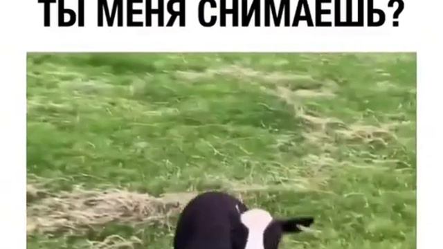 ты меня снимаешь? смотреть онлайн