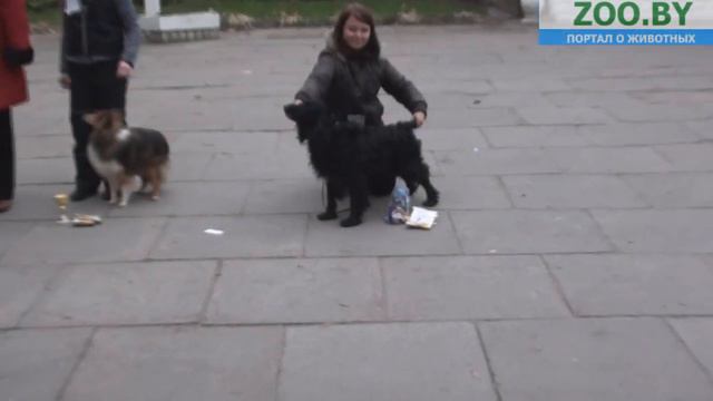 Лучший ветеран смотреть онлайн
