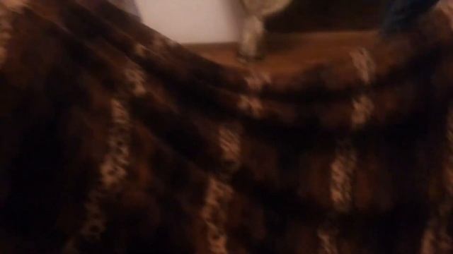 Домовладелец Мастер