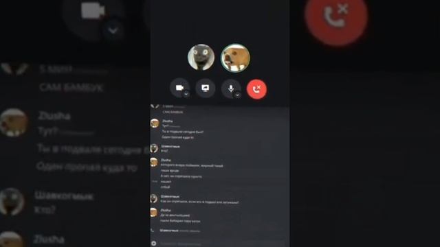 Фонтанчик черным дельфином Zlusha edition 14 минут смотреть онлайн