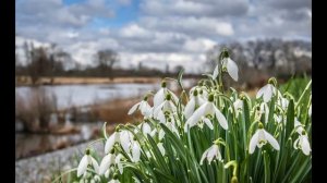 Благовещение: что можно и нельзя делать 7 апреля - Это важно знать.