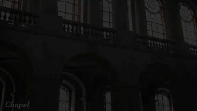 Bach, Violin Sonata 3 (BWV 1005), allegro assai смотреть онлайн