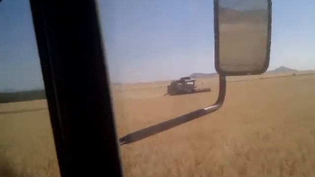 обмолот овса под черной смотреть онлайн