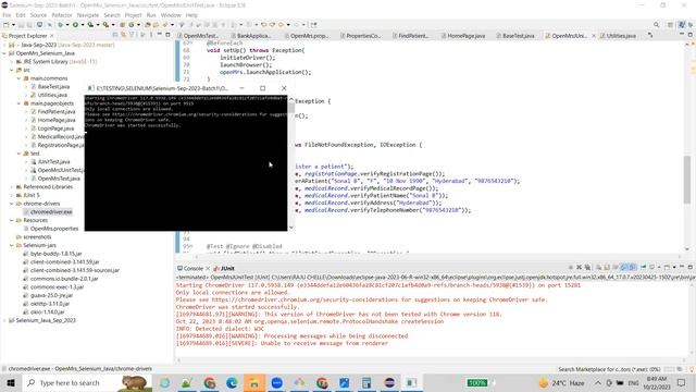 Selenium-Java-Day34 (TDD-UnitTests and TakeScreesnhots) смотреть онлайн