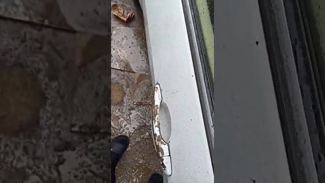не бита не крашена :)) смотреть онлайн
