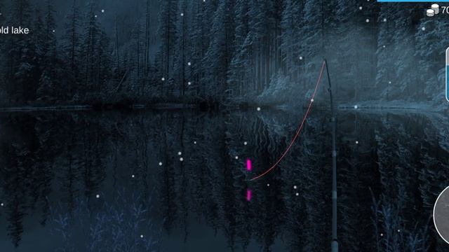 My Fishing World : Лещ (Ежедневное задание, Холодное озеро) #myfishingworld
