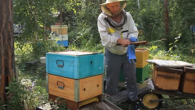 отбор меда Семья 5 корпусов смотреть онлайн