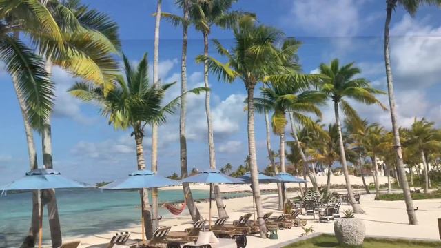 Island Resort Vibes