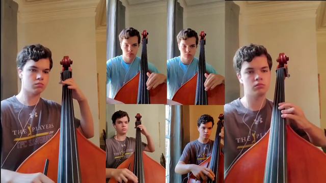 The Elephant by Camille Saint-Saëns for double bass quintet смотреть онлайн
