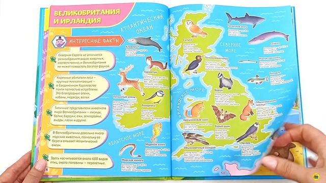 ЭНЦИКЛОПЕДИЯ. КНИГА ДЛЯ ДЕТЕЙ. АТЛАС ЖИВОТНЫХ смотреть онлайн