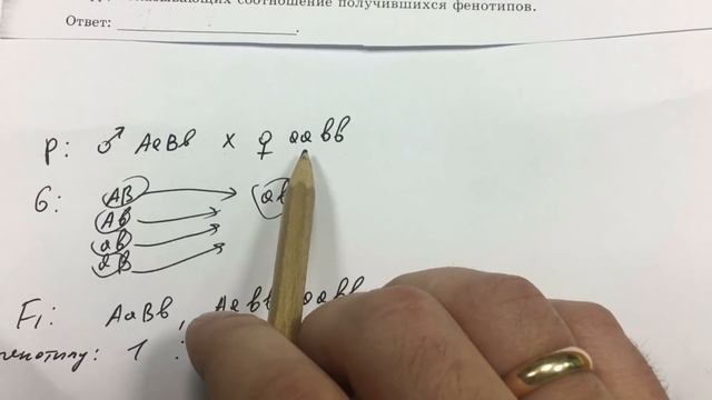 ЕГЭ. БИОЛОГИЯ.6 задание, разбор смотреть онлайн