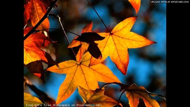 "Последний день осени" смотреть онлайн