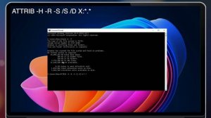 Как восстановить удаленные файлы с отформатированной USB флешки на Mac или Windows? Топ приложение