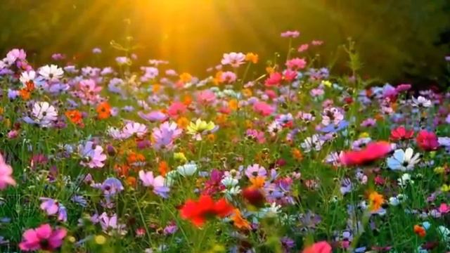 Пожелание друзьям.супер видео.