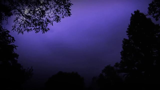 Blue Eyes, Dark Rain - Original Composition for Guitar смотреть онлайн