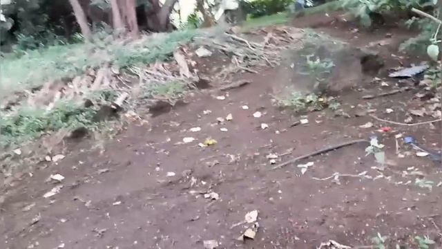 Один день из Танзании нашими глазами) смотреть онлайн