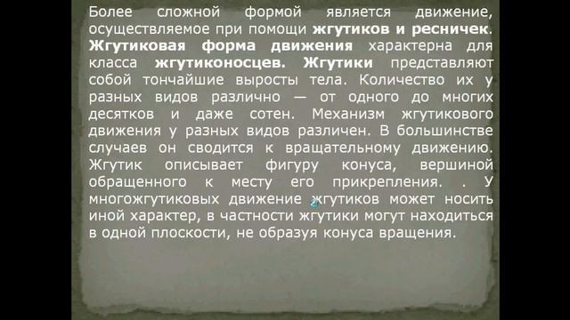 Типы и способы движения, питания, выделения у простейших. Скачать презентацию. смотреть онлайн