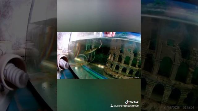 Щука речная! смотреть онлайн