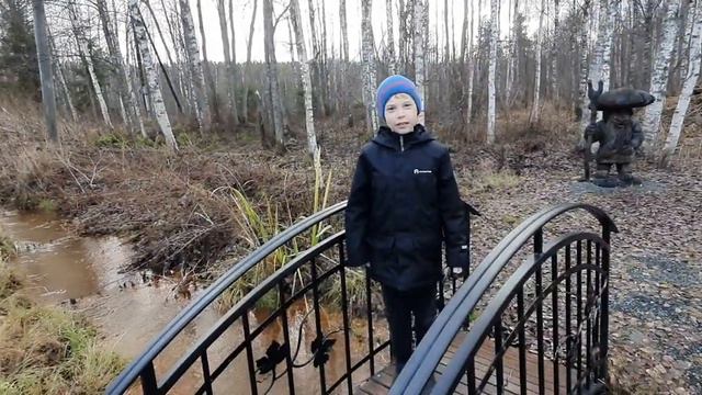 Видеоэкскурсия по селу Крошнозеро смотреть онлайн