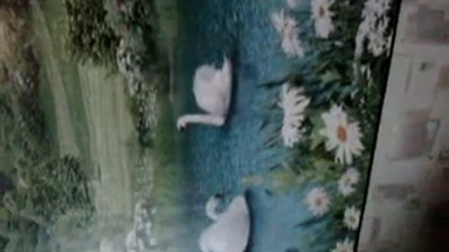 Александр Бражник стих ЧЕМ МНЕ ДУШУ УСПОКОИТЬ смотреть онлайн