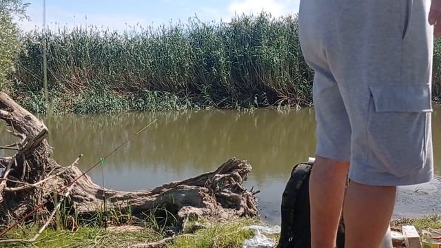 Отдых в Астрахани. Часть 2. Первый день рыбалки смотреть онлайн
