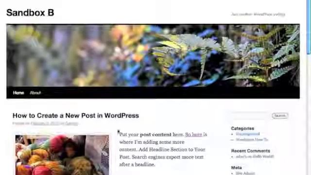 Beginner's Guide to Wordpress - Editing a Post - Categories, Tags and More смотреть онлайн