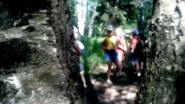 Арт-студия "KREATIFF" - Лагерь 2019 "Это лето". смотреть онлайн