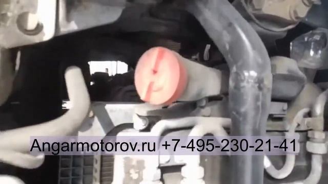 Вкладыши шатунные STD A21515X00BTE YD25DDTi YD25 Nissan Bassara Murano Navara Pathfinder Cabstar 2.