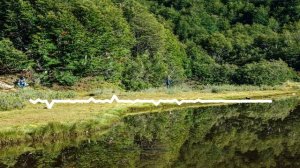 АЛИ САИДОВ - МОЯ ЕДИНСТВЕННАЯ 2024