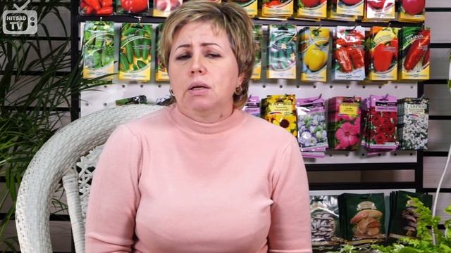 Семена огурцов ? Лучшие гибриды огурцов пучкового типа ? АЭЛИТА смотреть онлайн