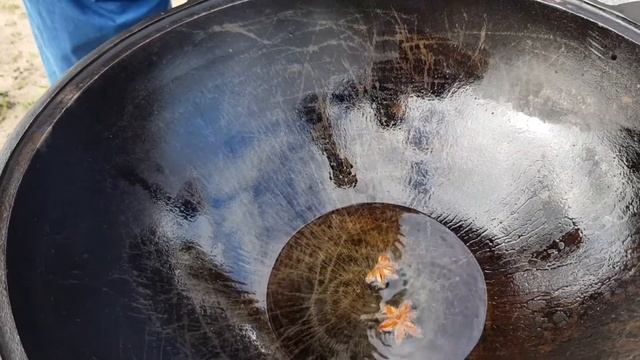 14 июня 2020 г. смотреть онлайн