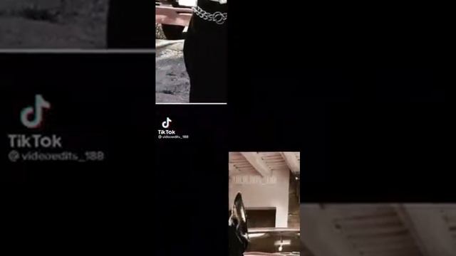 Эдиты с доберманами смотреть онлайн