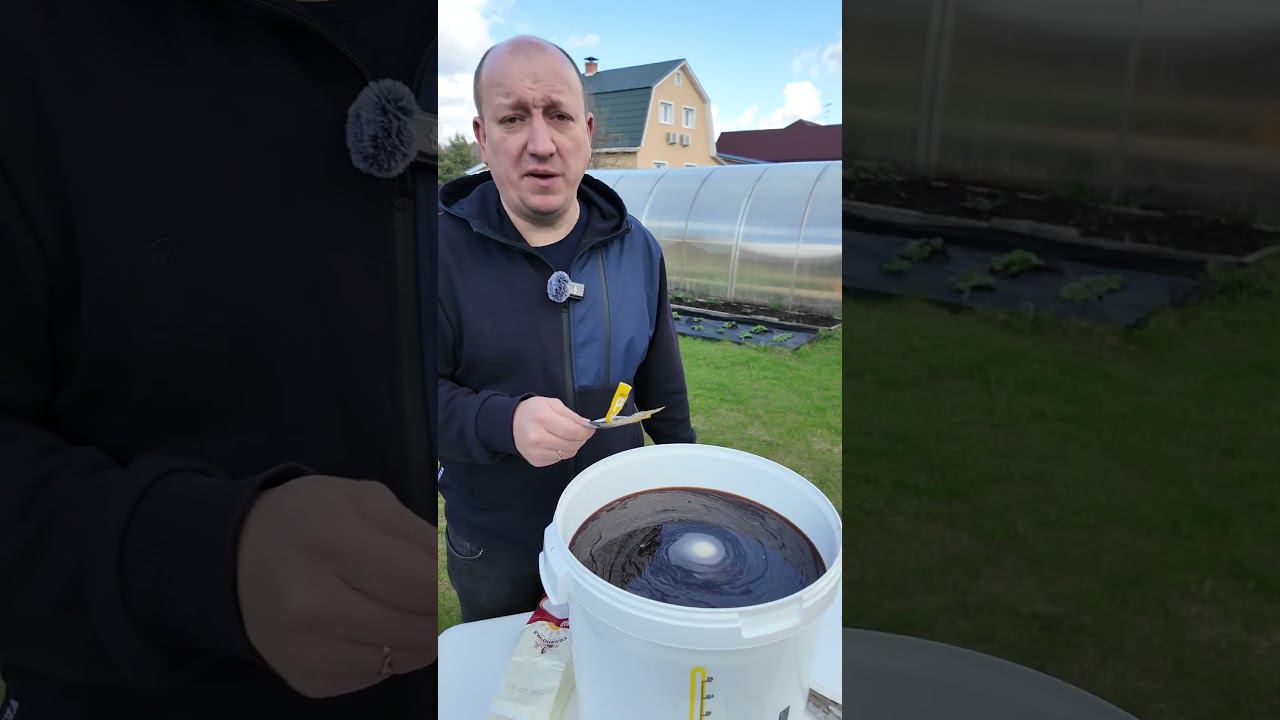 Как сделать настоящий квас #самозванцы #рецепт смотреть онлайн