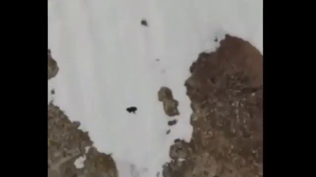 Хороший Стимул для Проснувшийся светлых душ 6.02.2021 Песня В.Высоцкого смотреть онлайн