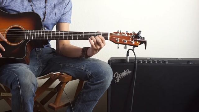 Proud Mary (Creedence Clearwater Revival) Guitar Cover смотреть онлайн