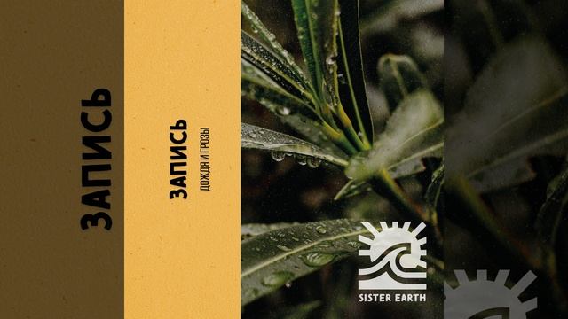 Деревенские Раскаты