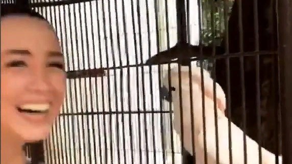 Серебро @ Лиза Корнилова (Инстаграм) (09.04.19) смотреть онлайн