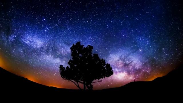 LYONIK  - SOROCK (video Bootleg)